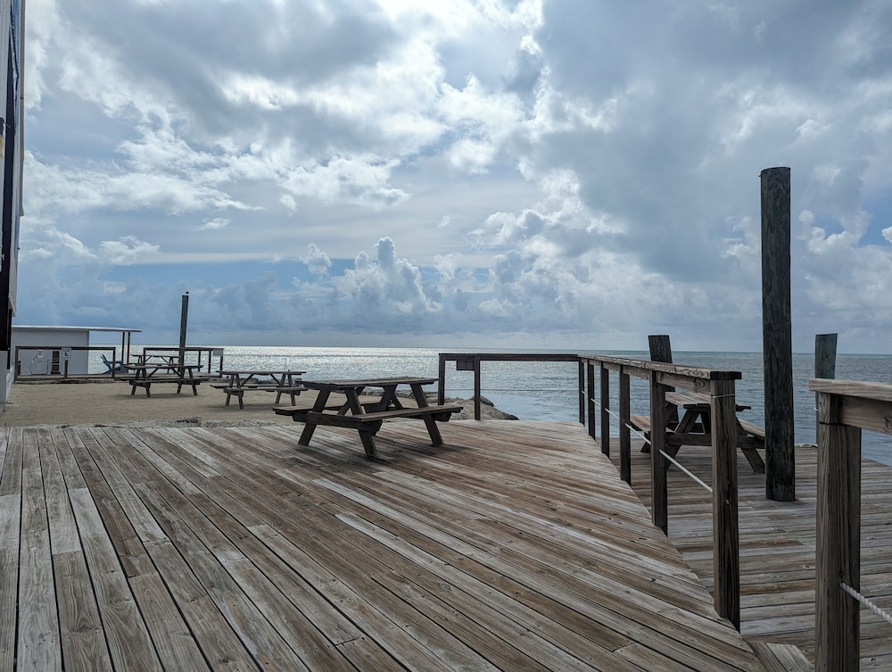 Bud N' Mary's Fishing Marina - photo 76