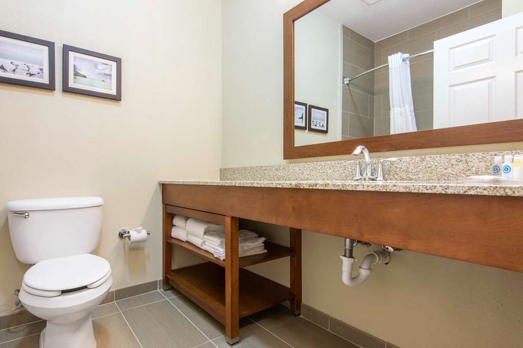 Comfort Suites Rochester Henrietta University Area - photo 20