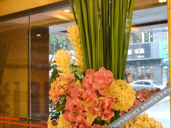 San Ling Hotel - last minute hotel in Chengdu
