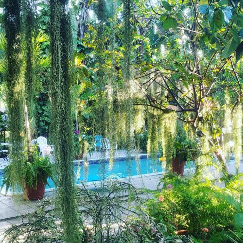 Orchid Cottage — 4-Star Luxury Hotel in Kingston, Jamaica