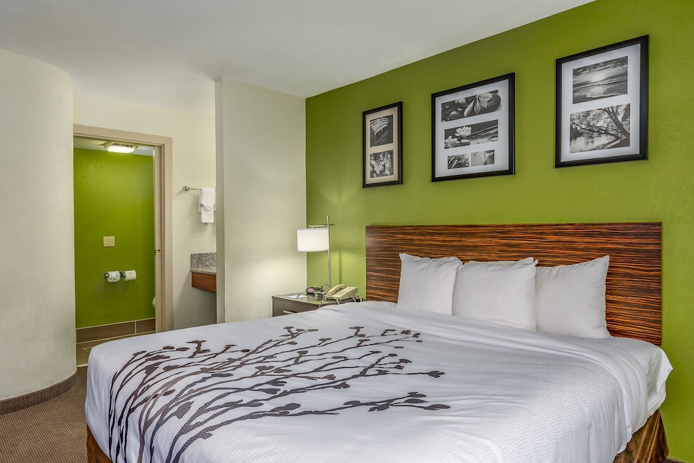 Garner Hotel Albuquerque Airport by IHG - photo 18
