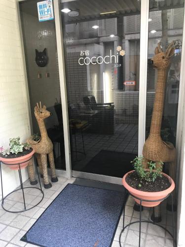 Oyado Cocochi - last minute hotel in Tokyo
