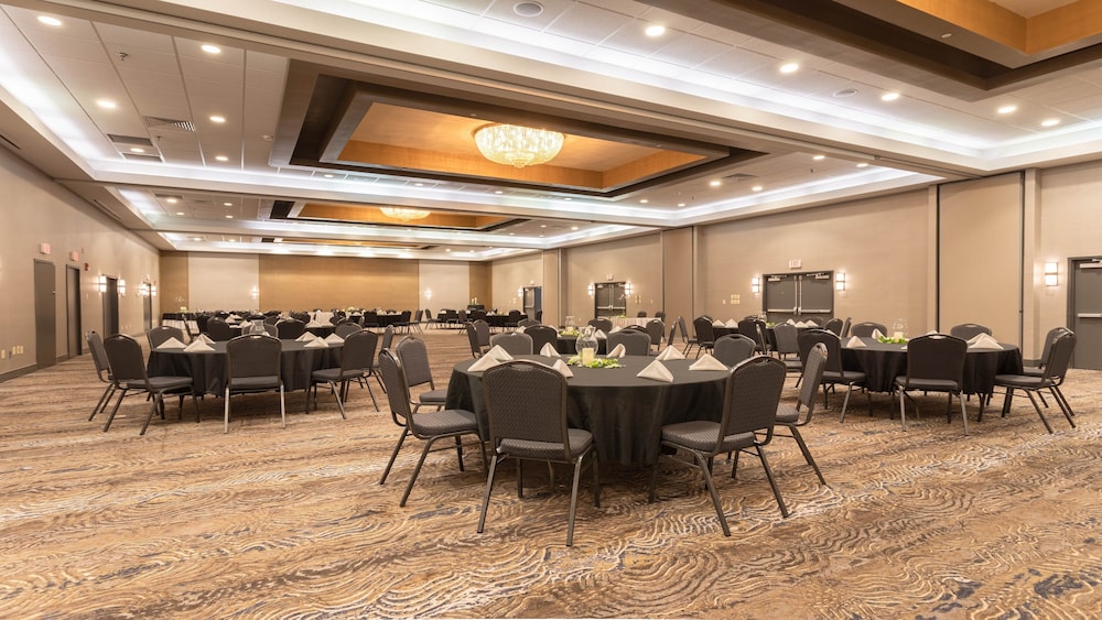 Holiday Inn Roanoke Airport Conference CTR by IHG - photo 46