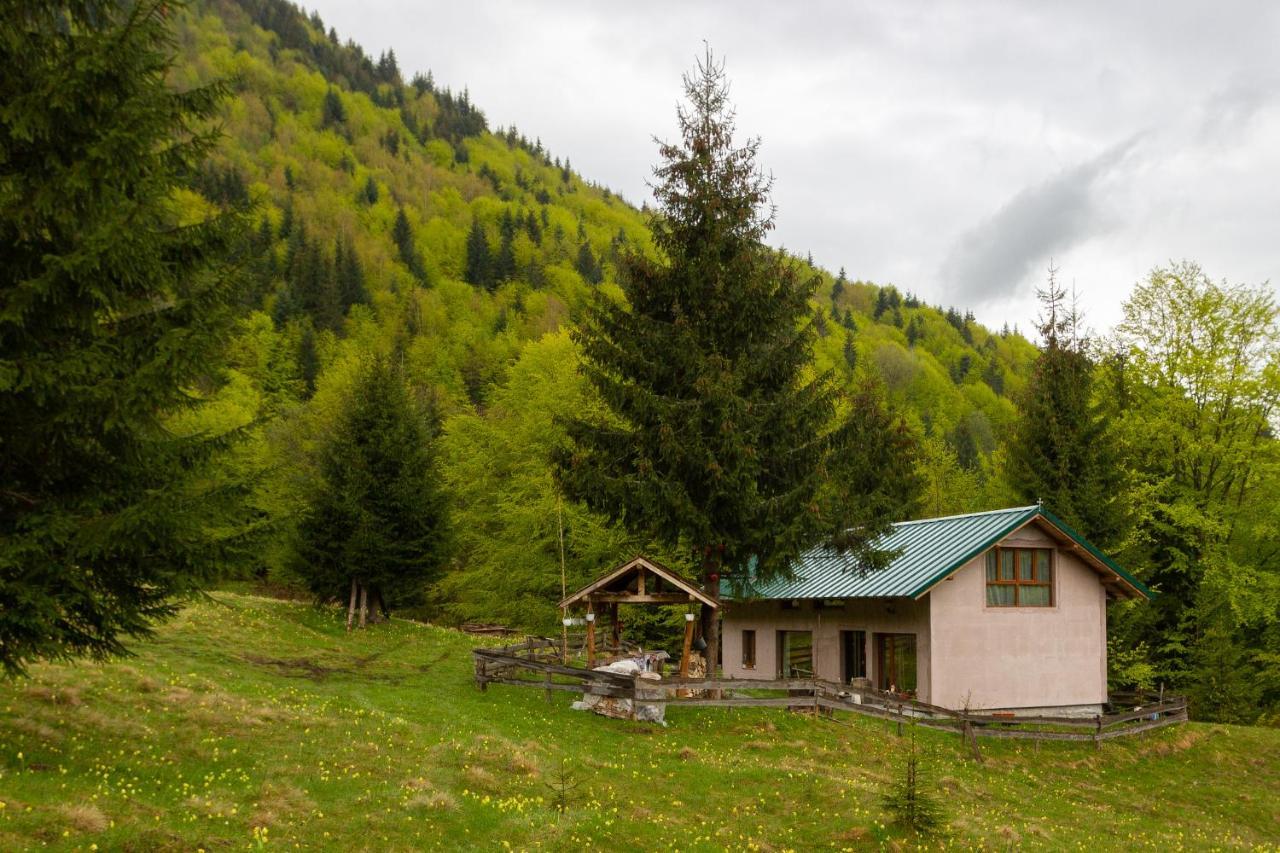 Granero Colibita in Unknown City, Romania