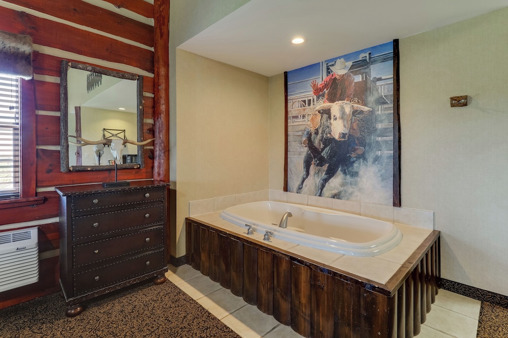 Stoney Creek Hotel Columbia - photo 24