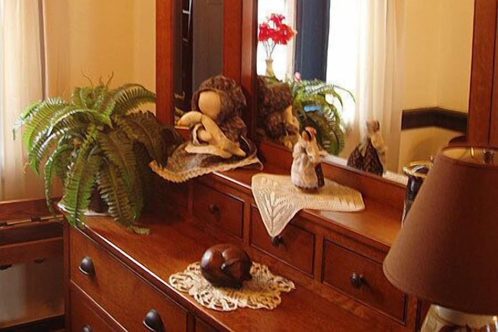 Historic Schoeneck Hotel B&B - photo 7