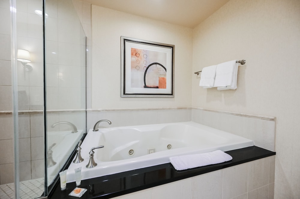 StripViewSuites at Signature - photo 28