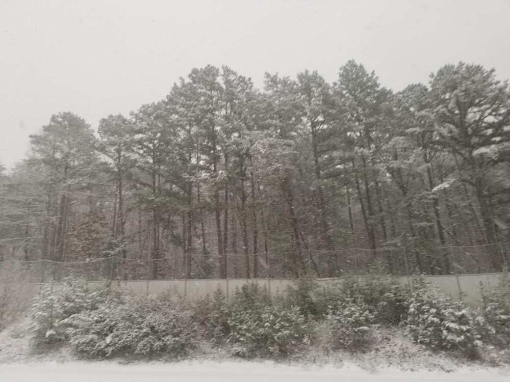Blue Ridge Rustic Inn - photo 26