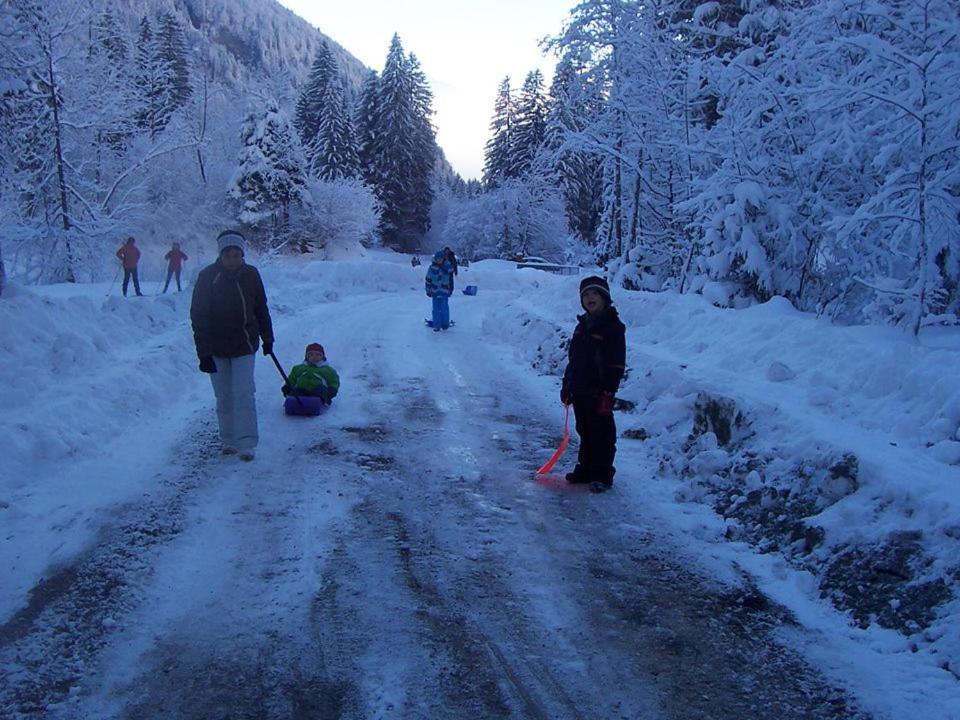 Le Bivouac — hotel in Sixt-Sur-Aff