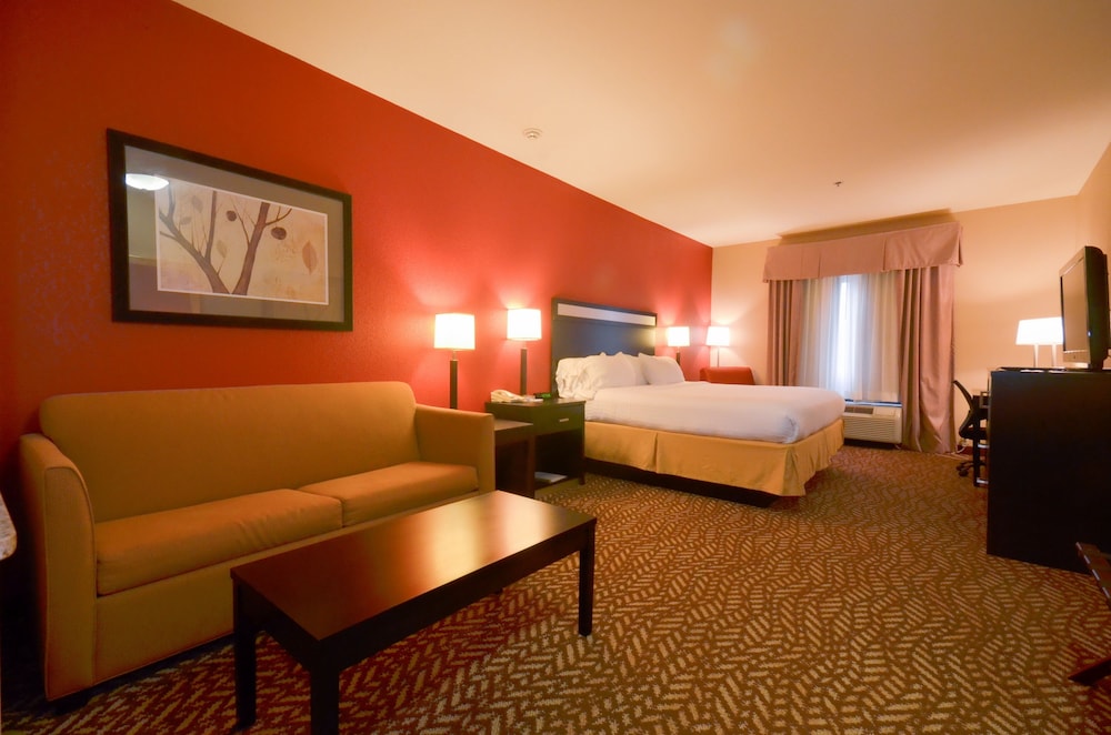 Holiday Inn Express Hotel & Suites Pine Bluff Pines Mall an IHG Hotel - photo 2