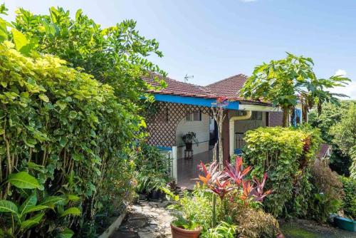 Cozy T2 calme au cœur de la nature — 4-Star Luxury Hotel in La Trinite, Martinique