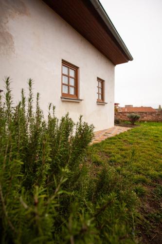 Apartmány NaVyhlídce — Znojmo — photo 4