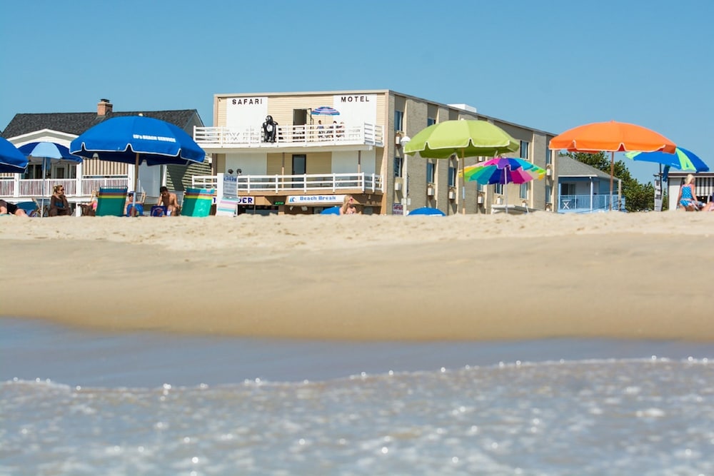 Safari Hotel Boardwalk - photo 26