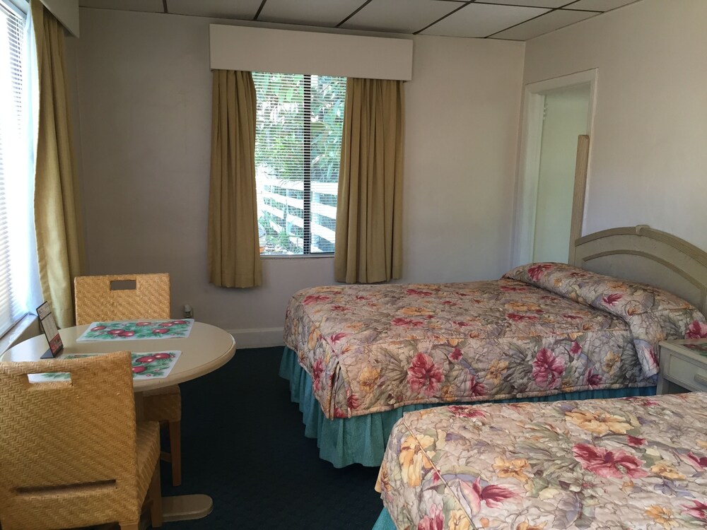 Sea Cove Resort Motel - photo 5