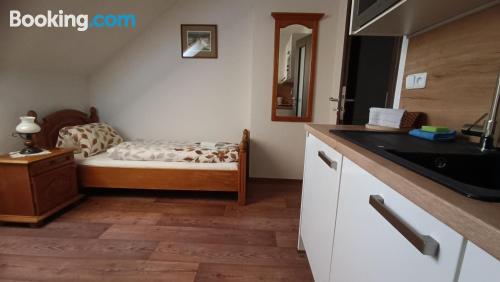 Penzion Slezský dům in Jesenik, Czech Republic