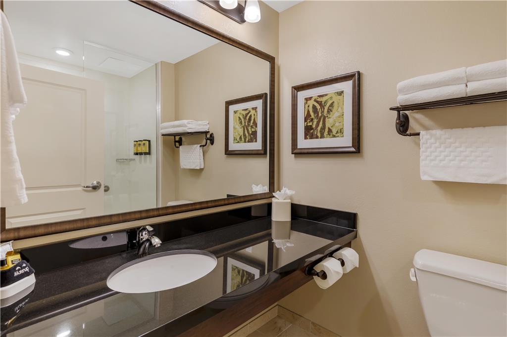 Best Western Plus Hudson Hotel & Suites - photo 22