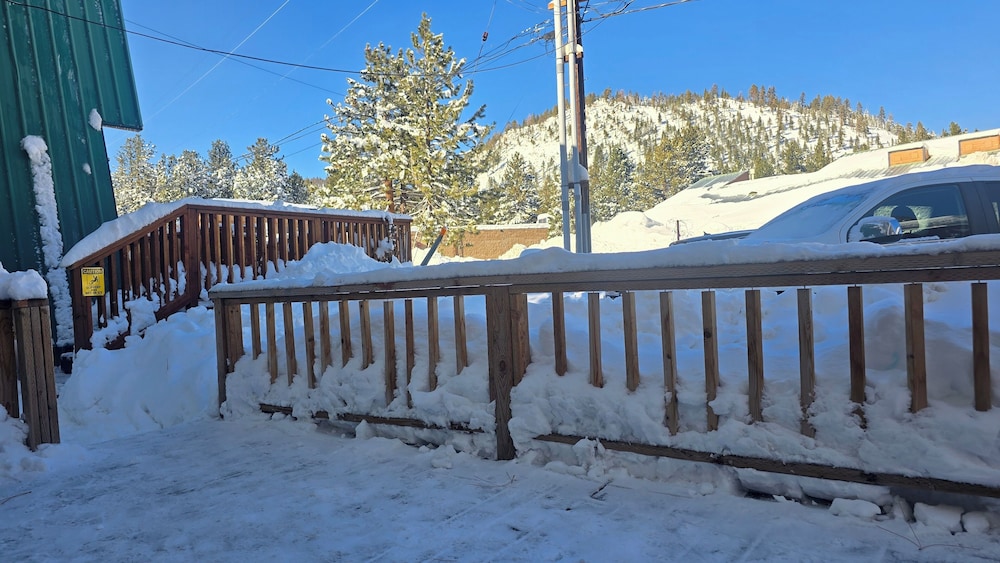Cinnamon Bear Inn - photo 6