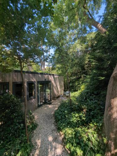 Best of both worlds trees & town in Dursley, United Kingdom