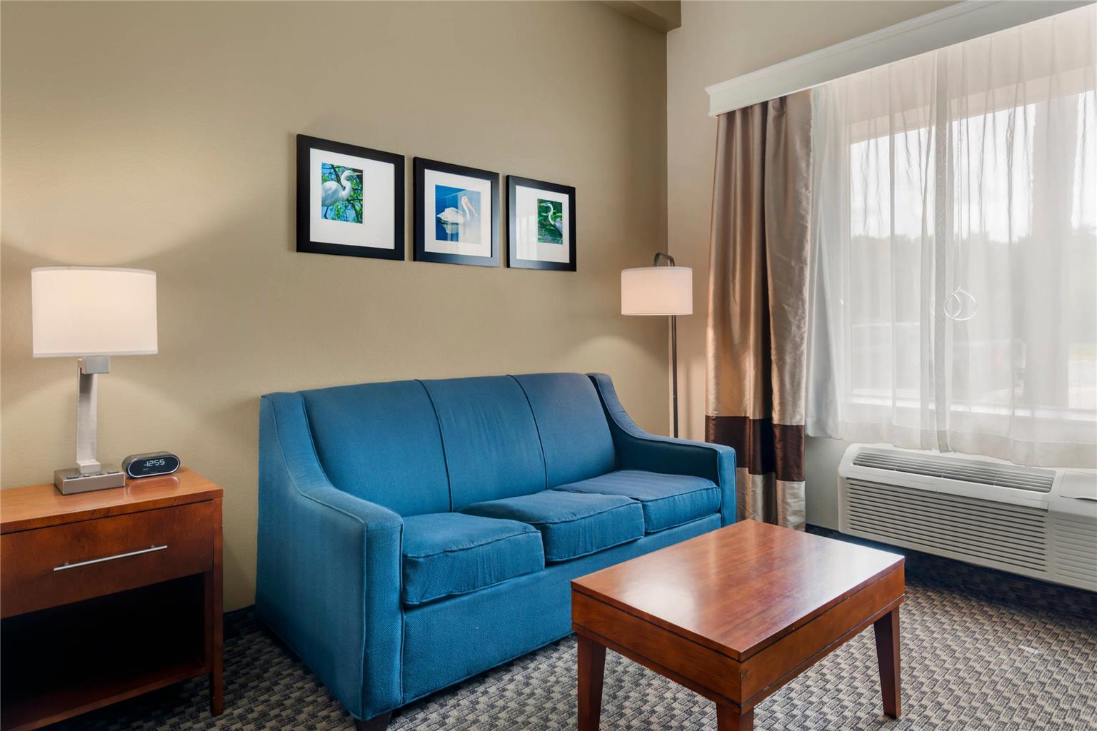 Comfort Inn & Suites Wildwood The Villages - photo 23