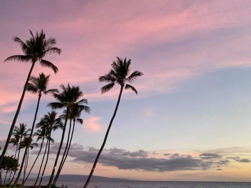 Live da HI life great beach and great views — 4-Star Luxury Hotel in Wailea, United States