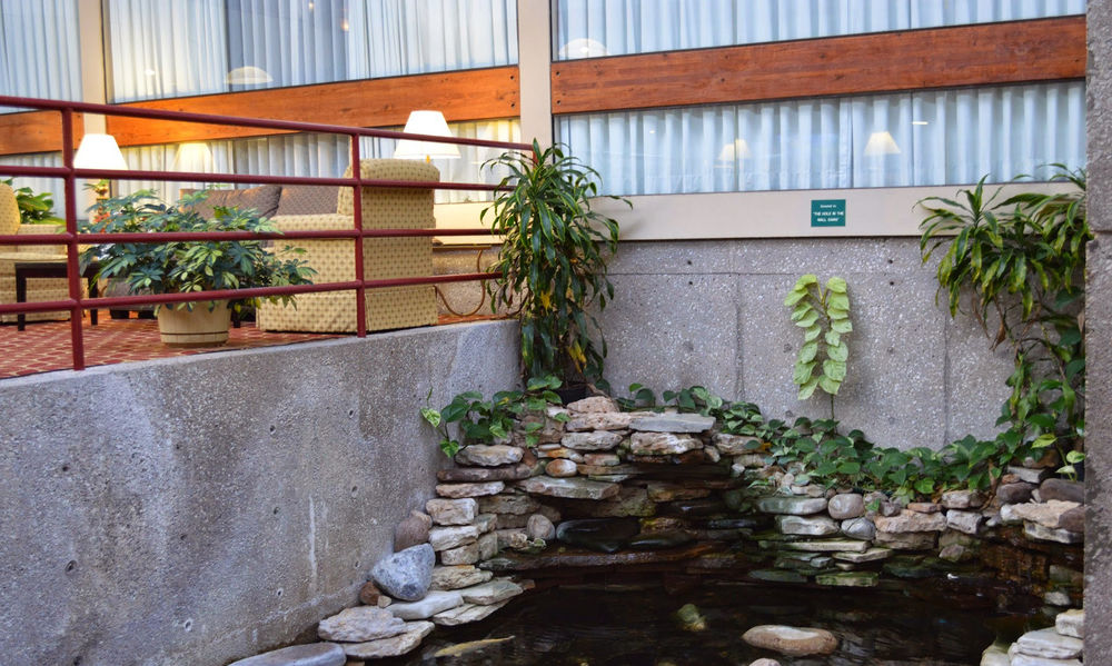 Hotel Muscatine - photo 29