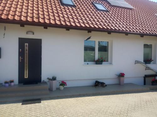 Otel' Kuba - last minute hotel in Unknown City
