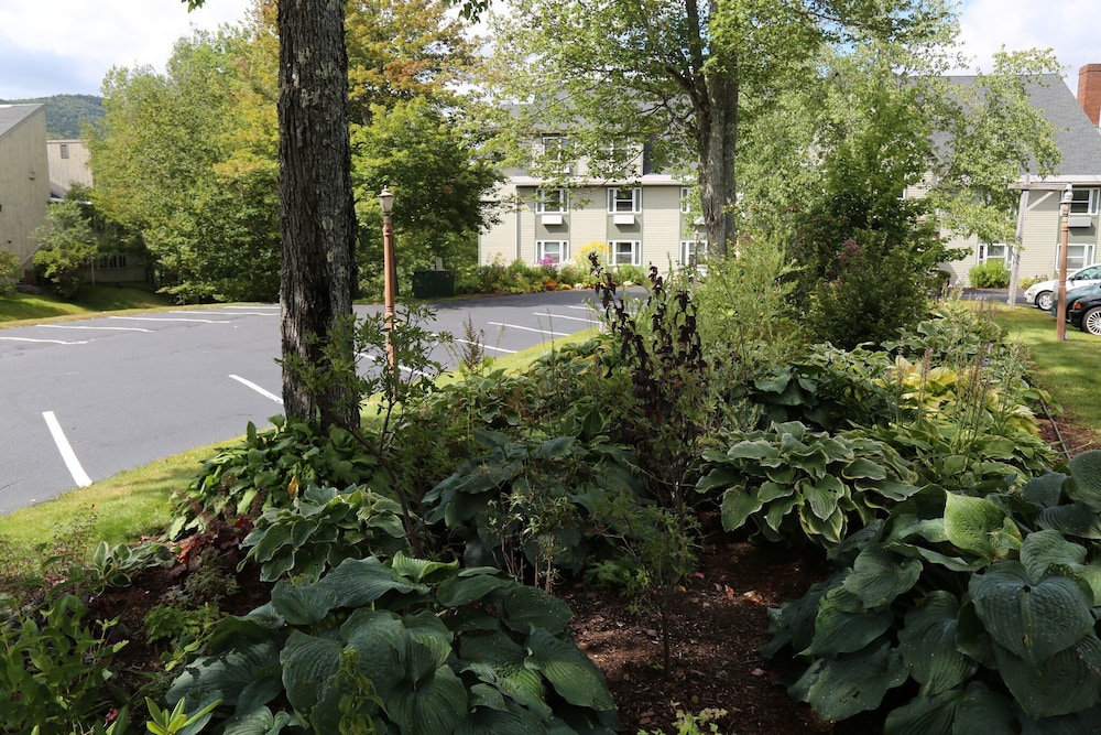 Silver Fox Inn - photo 29