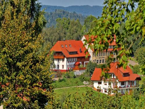 Haus Schlageter — 4-Star Luxury Hotel in Hochenschwand, Germany