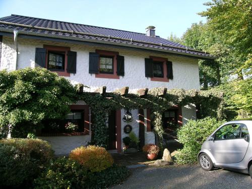 Ferienhaus Daniels — hotel in Bullange