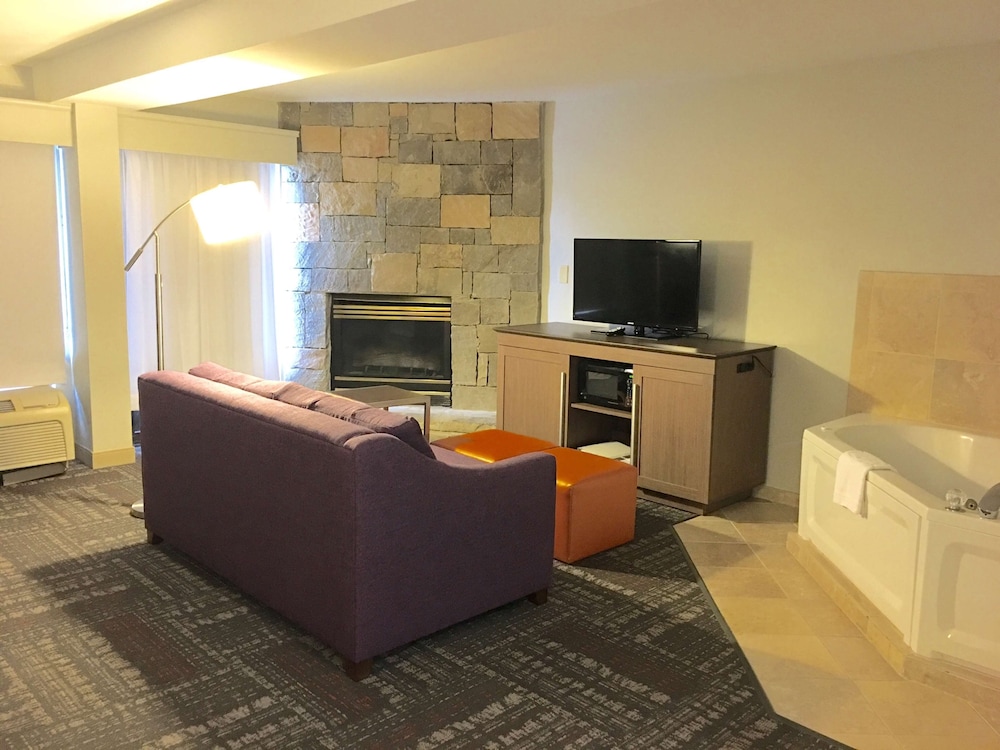 Hampton Inn Sevierville - photo 18