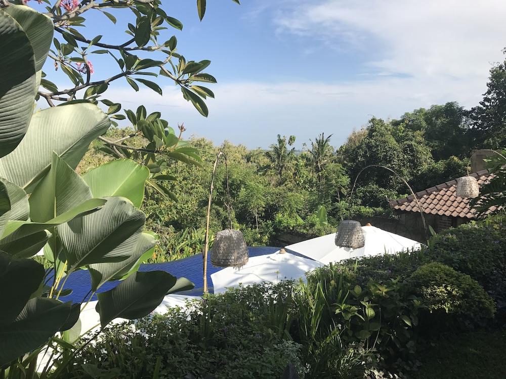 Alamanda Lovina Resort — Lovina — photo 5