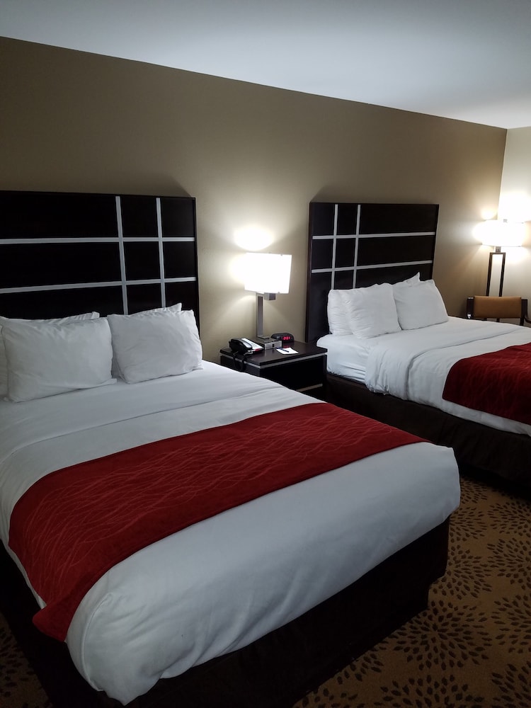Comfort Inn North of Asheville - photo 9