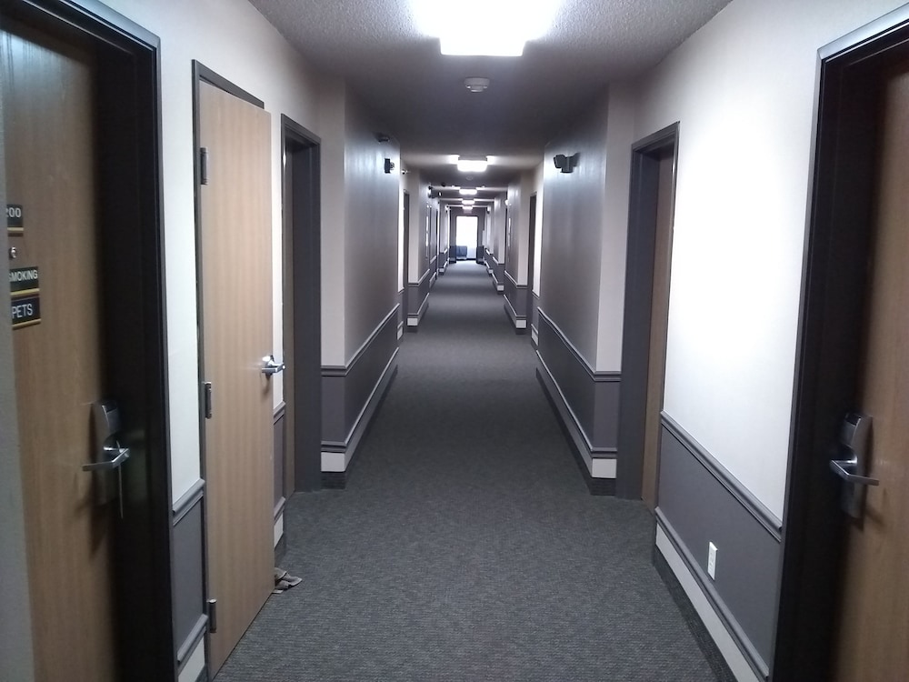 De Smet Super Deluxe Inn and Suites - photo 34