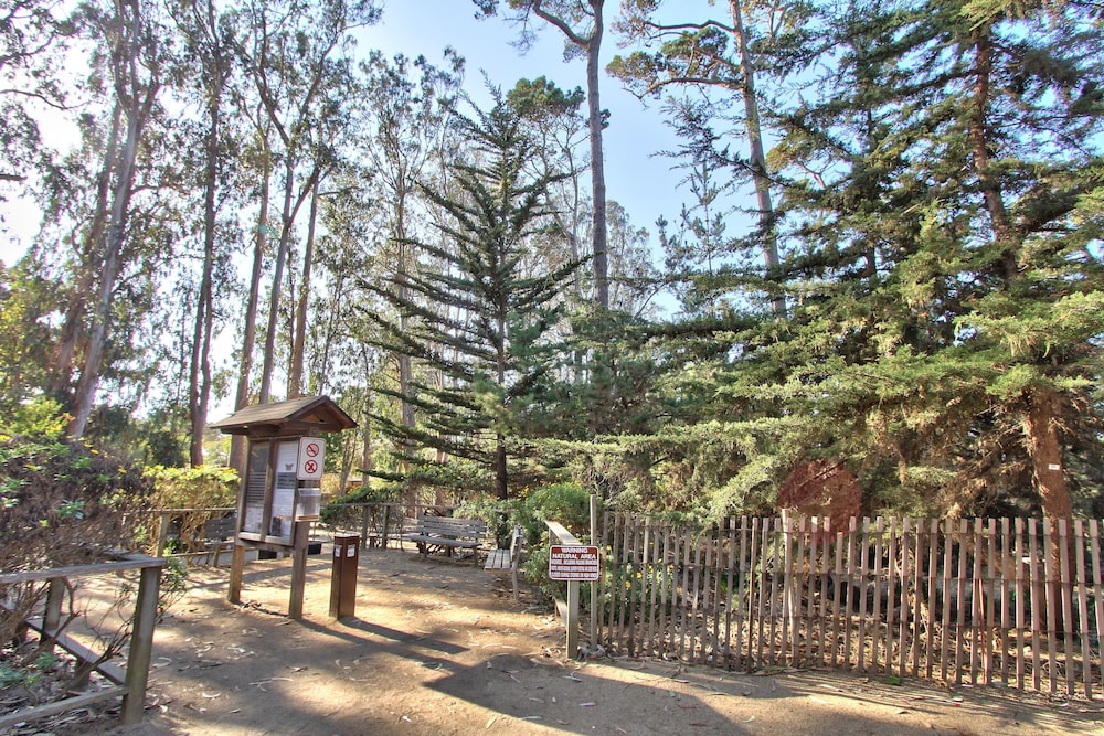 Butterfly Grove Inn - photo 51