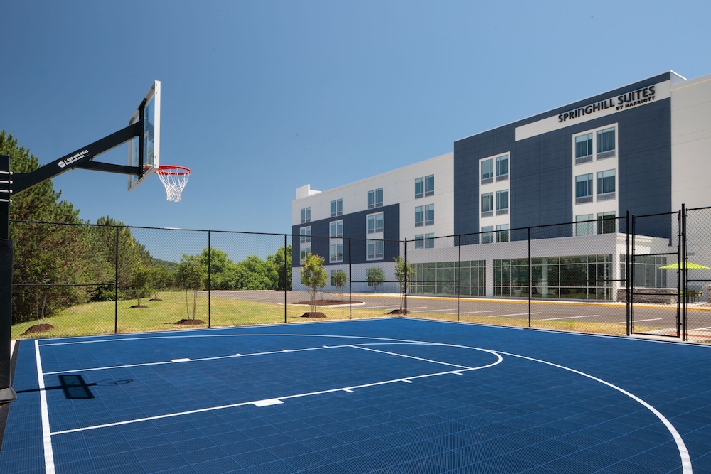 SpringHill Suites by Marriott Roanoke North - photo 27