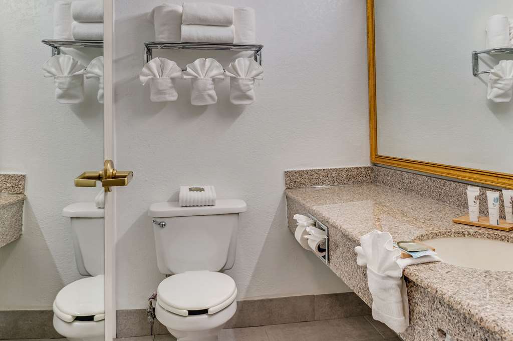 Country Inn & Suites by Radisson Grand Rapids Airport MI - photo 23