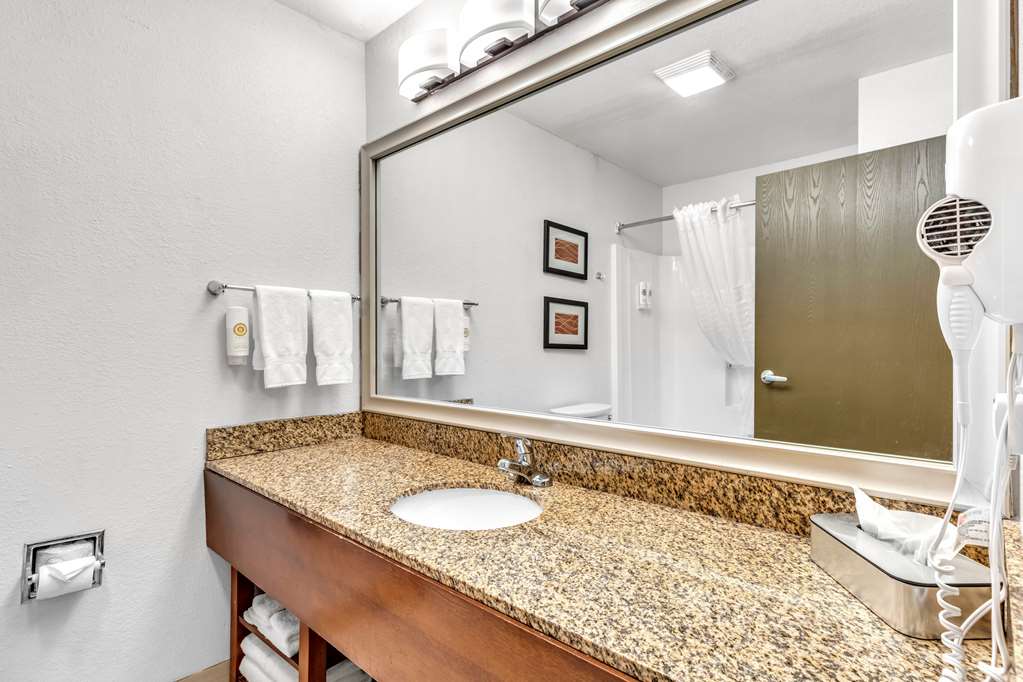 Comfort Inn Denver West Arvada Station - photo 22
