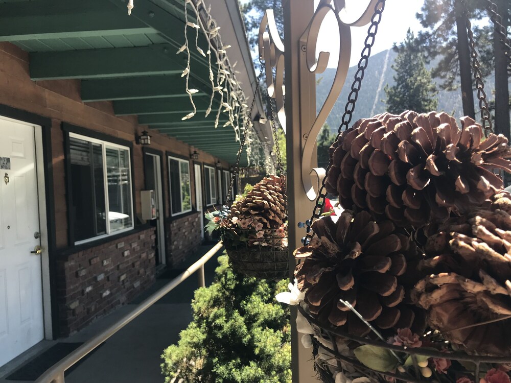 Paradice Motel - photo 20