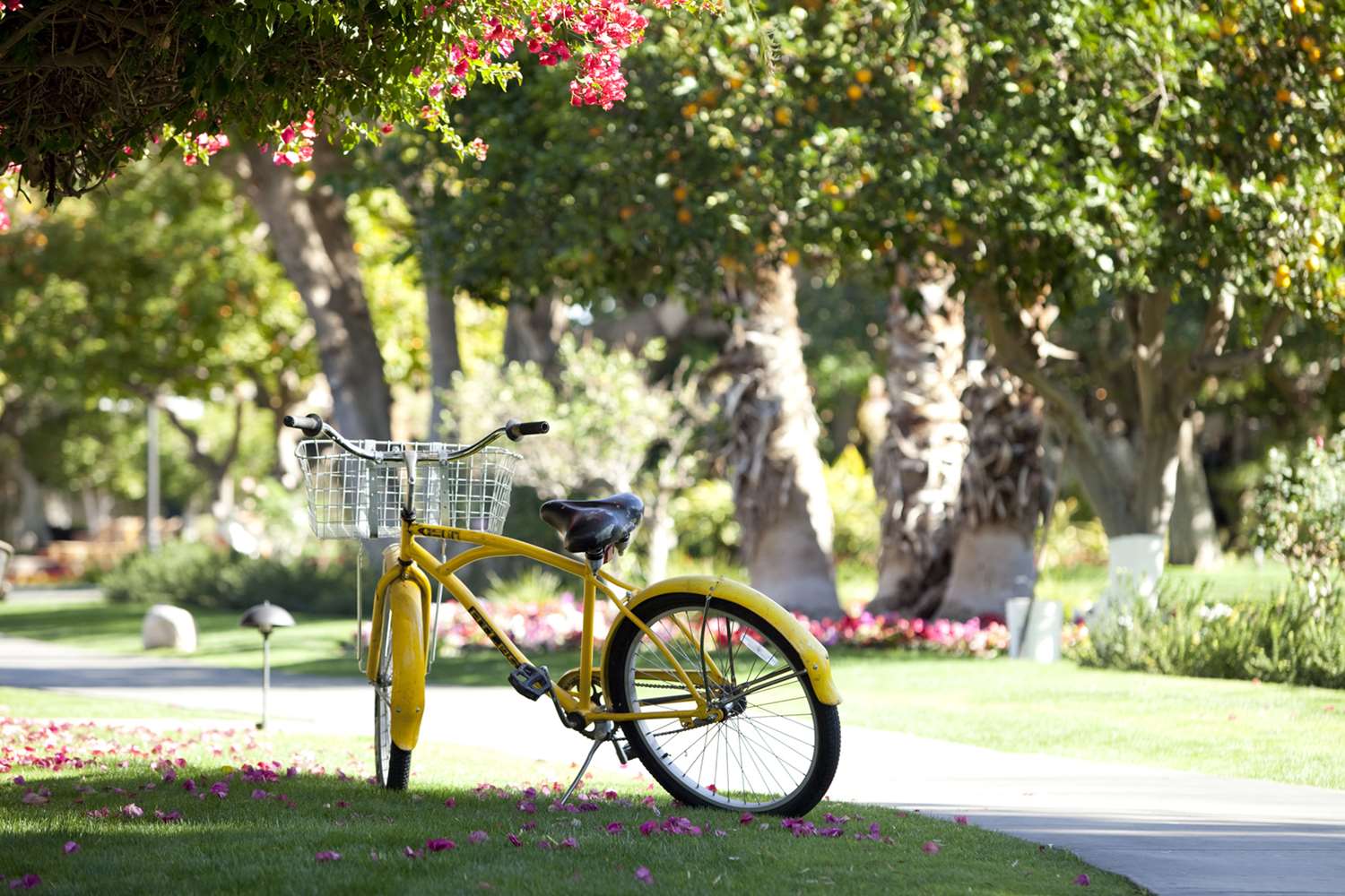 La Quinta Resort & Club Curio Collection by Hilton - photo 18