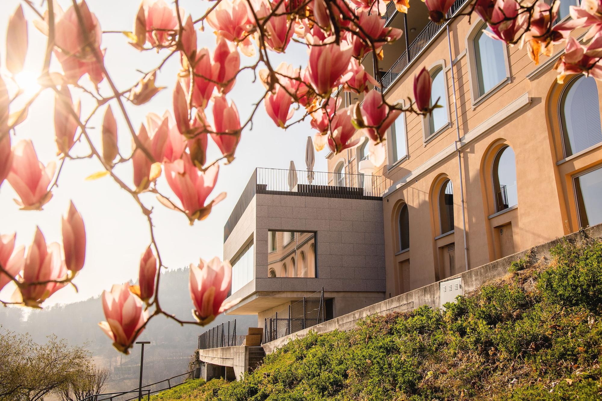 Kurhaus Cademario Hotel & SPA in Geneve, Switzerland