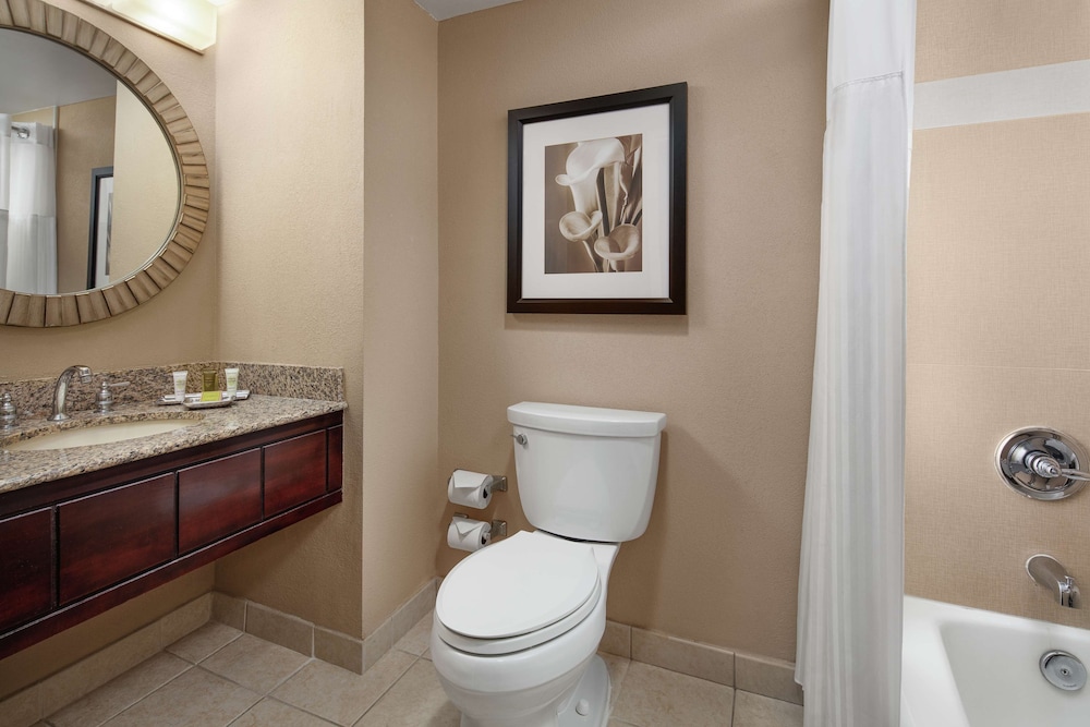 Hilton Orlando Lake Buena Vista Disney Springs Area - photo 39