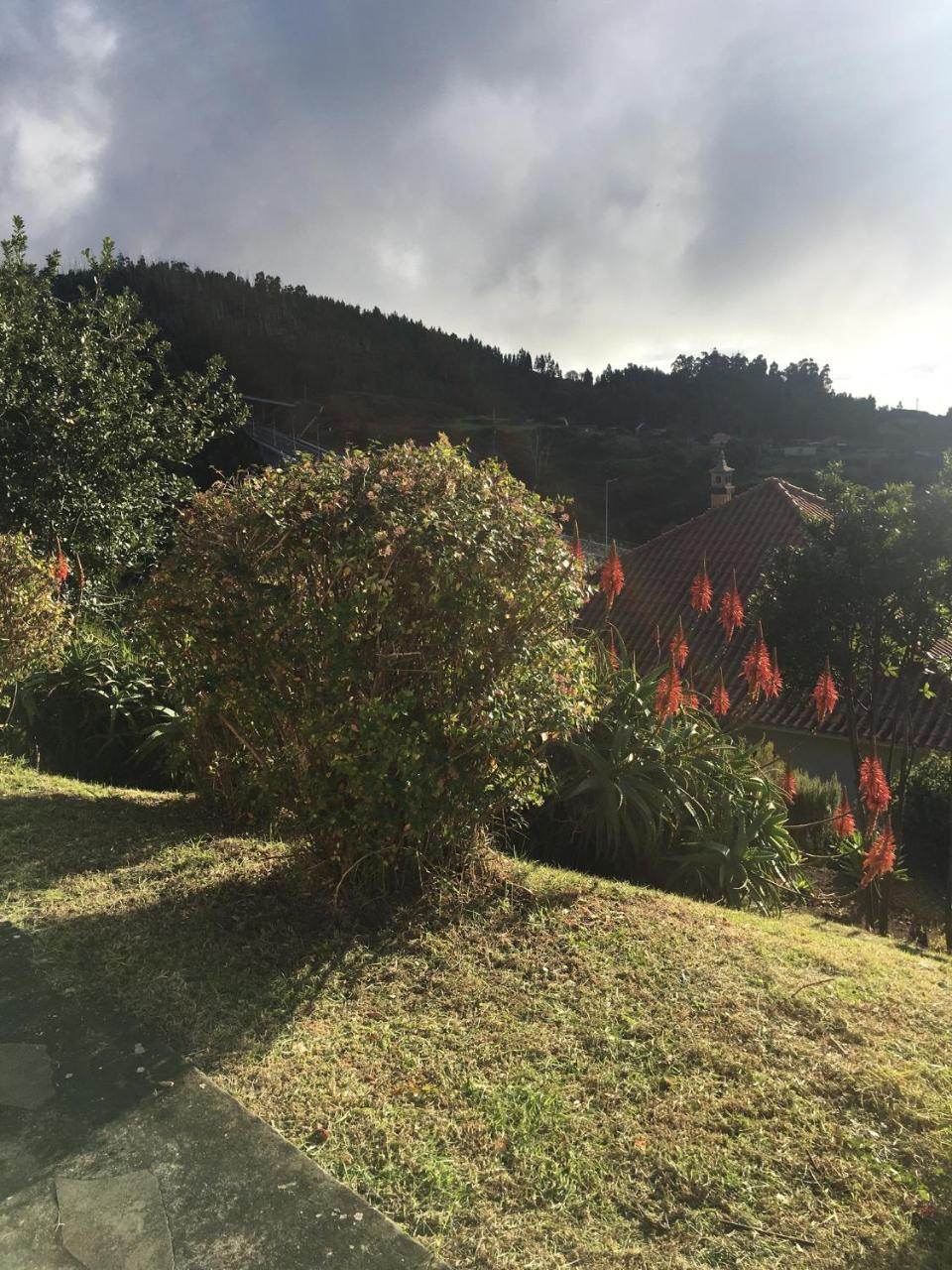 Bungalows Do Amparo in Calheta, Portugal