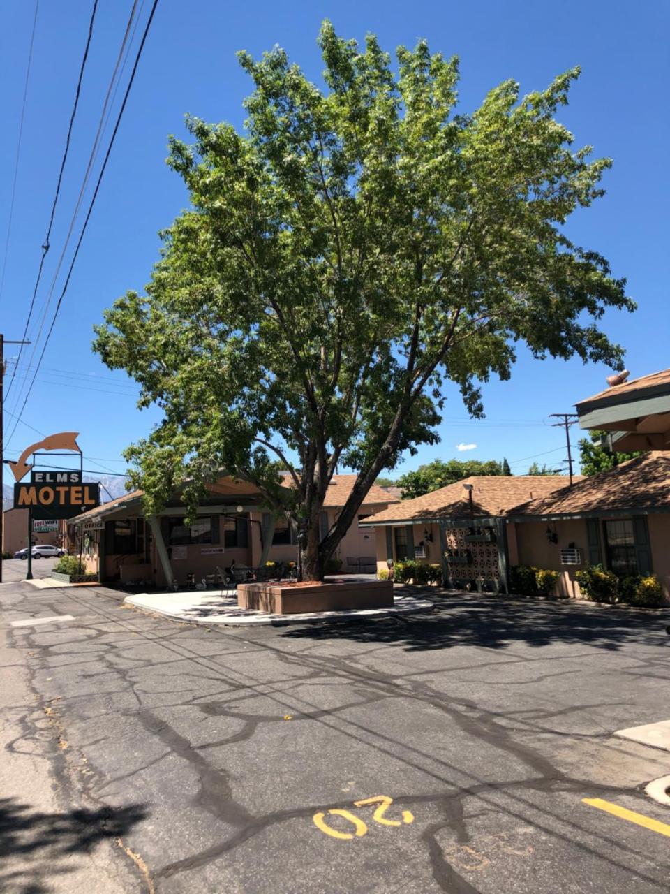 Bishop Elms Motel - featured photo