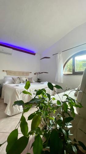Matta e Sole - carbon neutral hotel in Loculi