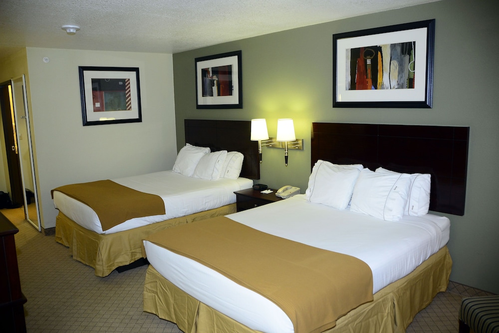 Holiday Inn Express Hotel & Suites Alamogordo Hwy 54 70 by IHG - photo 3