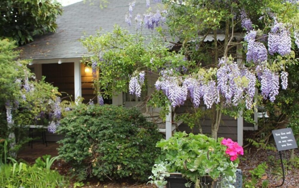 Hope and Glory Inn and Vineyard - photo 39