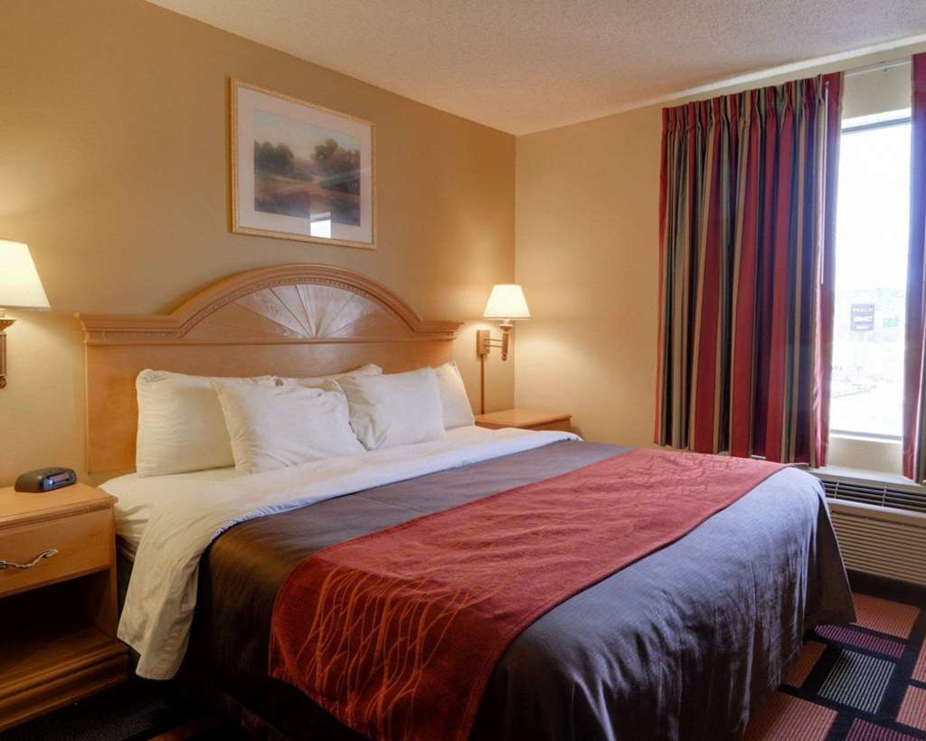 Quality Inn & Suites Malvern - photo 15