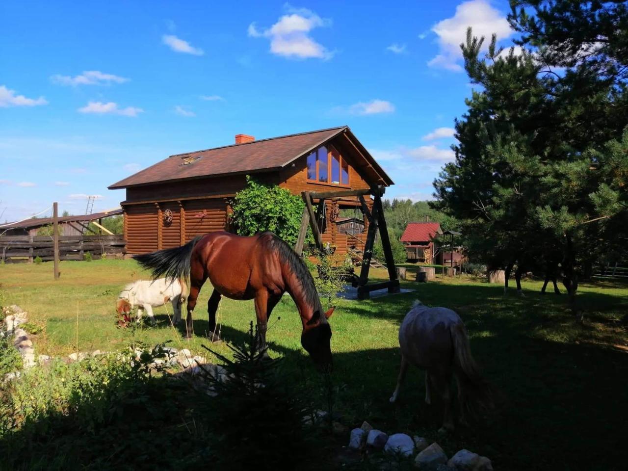 Summerland — hotel in Ikskile