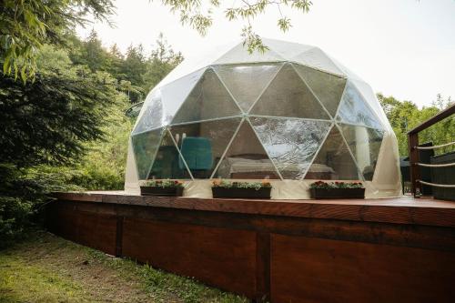 Glamping Lužec - carbon neutral hotel in Nejdek