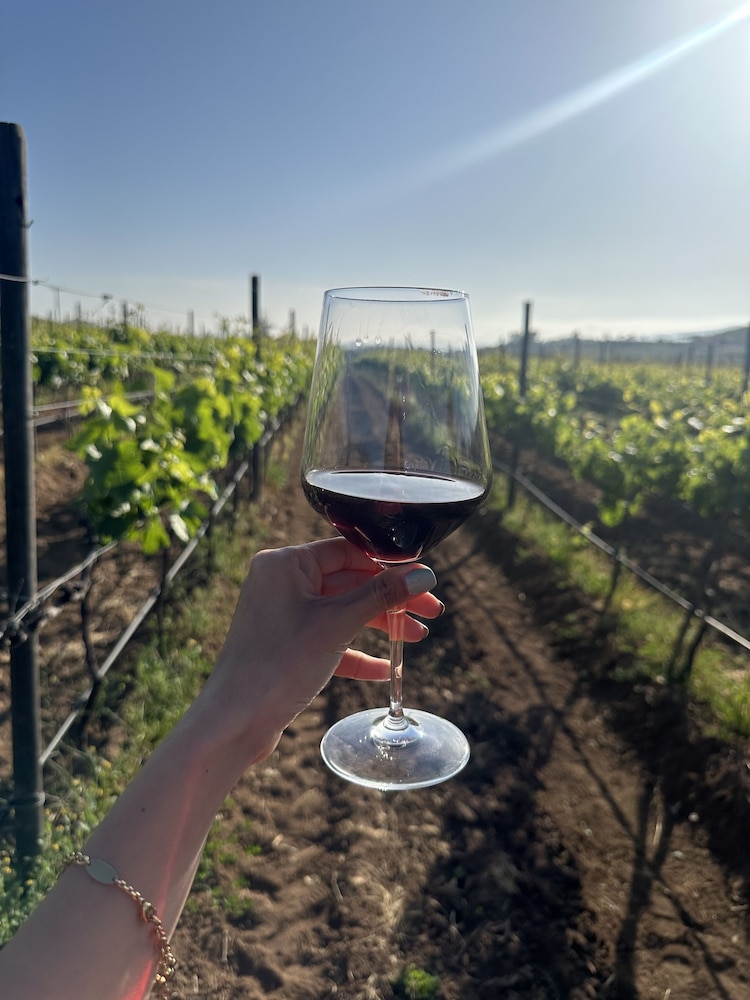 Winery